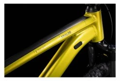 Cube Analog Sram SX Eagle 12V 29'' Vert Jaune 2022 16 Cube Analog Sram SX Eagle 12V 29'' Vert Jaune 2022 -VÉLOS ÉLECTRIQUES VTT Semi Rigide Cube Analog Sram SX Eagle 12V 29 Vert Jaune Lime 2022 6