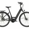 Trek District+ 6 Lowstep 400wh Shimano Nexus 7V Matte 2021